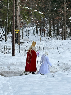 image-20231206-112636-518