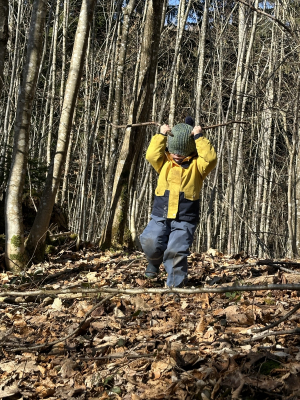 image-20240208-184536-907