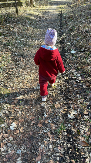 image-20240208-184537-032