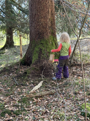 image-20240320-201202-205